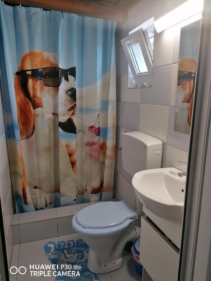 Casa Stefy Vama Veche ヴァマ・ヴェケ エクステリア 写真